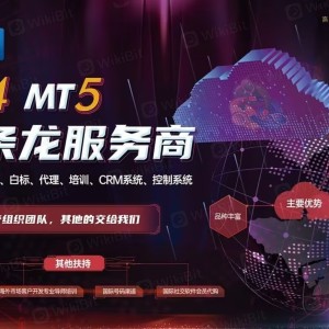 MT4  MT5 搭建，区块链交易所搭建，全新界面，多年搭建团队，技术专业，服务到位，请你放心