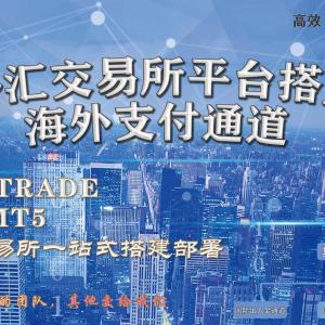 专业团队，交易所搭建，外汇平台搭建，MT4/5 白标主标蓝标搭建，价格优惠，质量高尚！