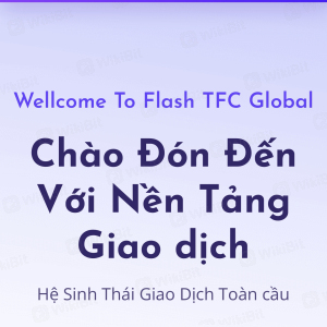 Flash TFC Global 