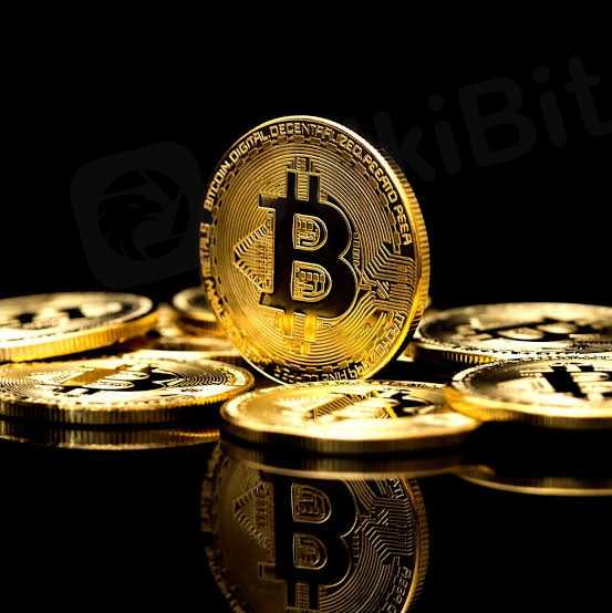 harga koin bitcoin telah menga
